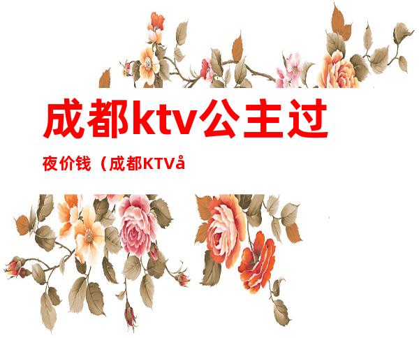 成都ktv公主过夜价钱（成都KTV哪里有公主）