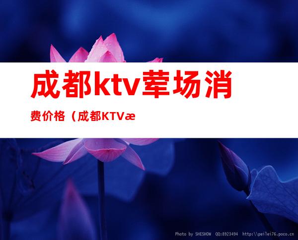 成都ktv荤场消费价格（成都KTV消费）