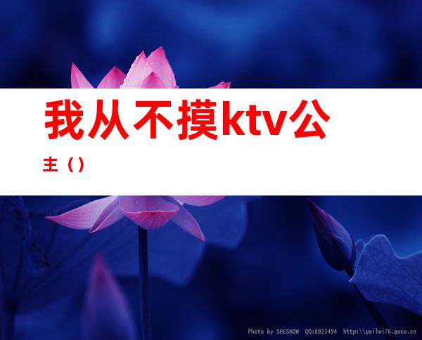 我从不摸ktv公主（）