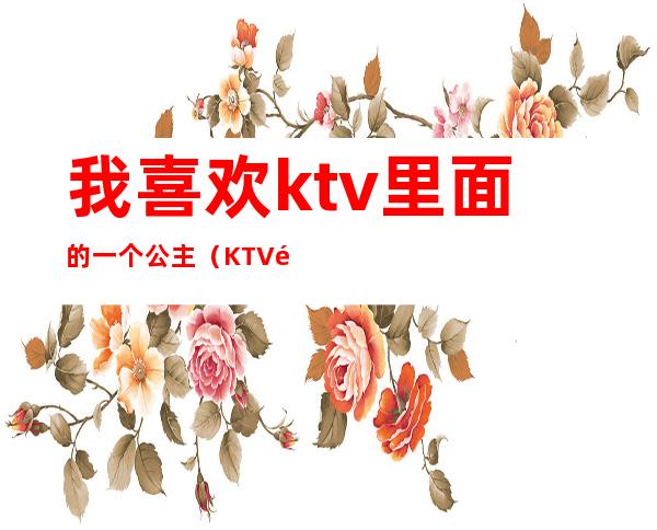 我喜欢ktv里面的一个公主（KTV里面公主）