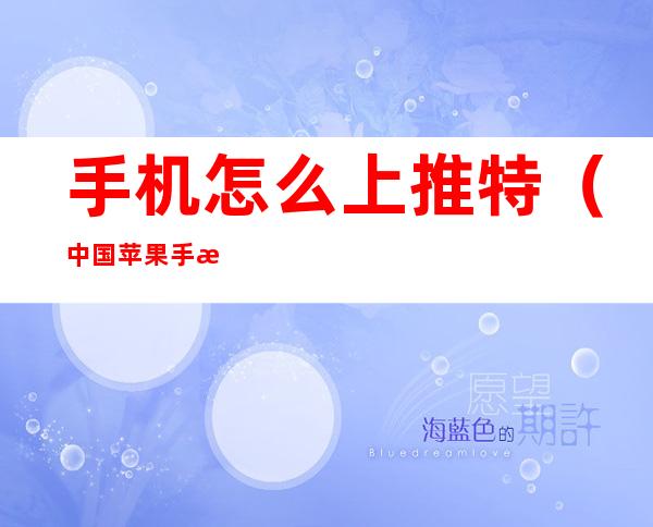 手机怎么上推特（中国苹果手机怎么上推特）