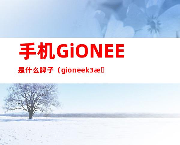 手机GiONEE是什么牌子（gioneek3是什么牌子的手机）