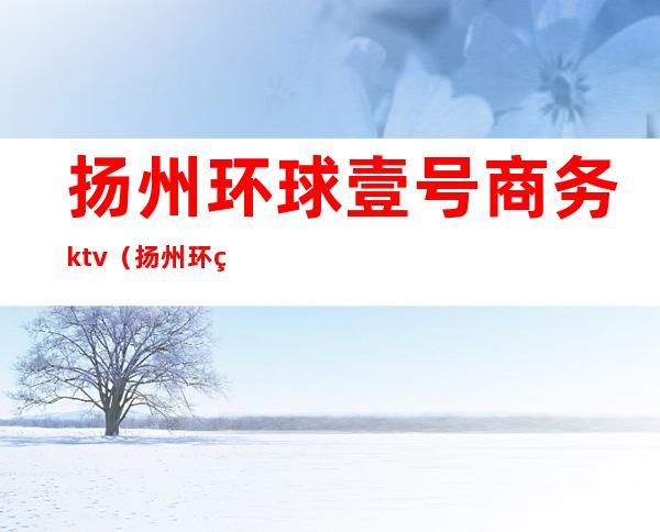 扬州环球壹号商务ktv（扬州环球一号怎么样）