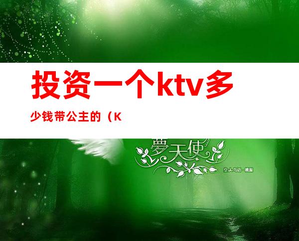 投资一个ktv多少钱带公主的（KTV找公主多少钱）