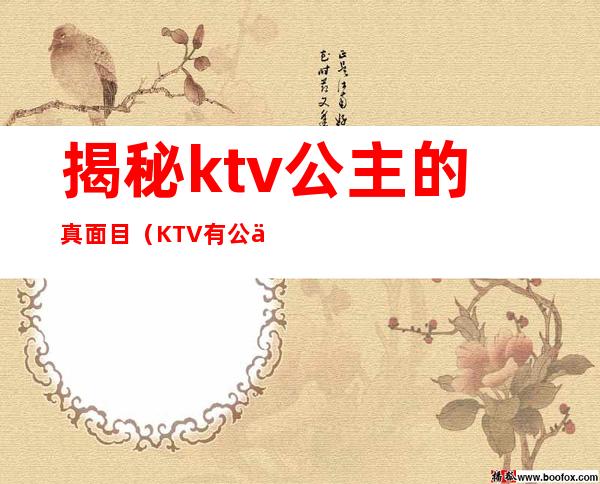 揭秘ktv公主的真面目（KTV有公主吗）