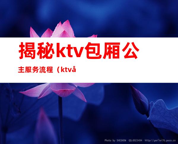 揭秘ktv包厢公主服务流程（ktv包厢公主做什么的）