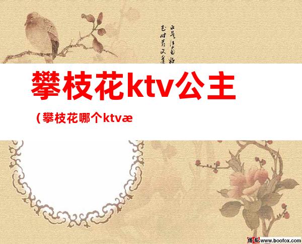 攀枝花ktv公主（攀枝花哪个ktv有陪酒女）