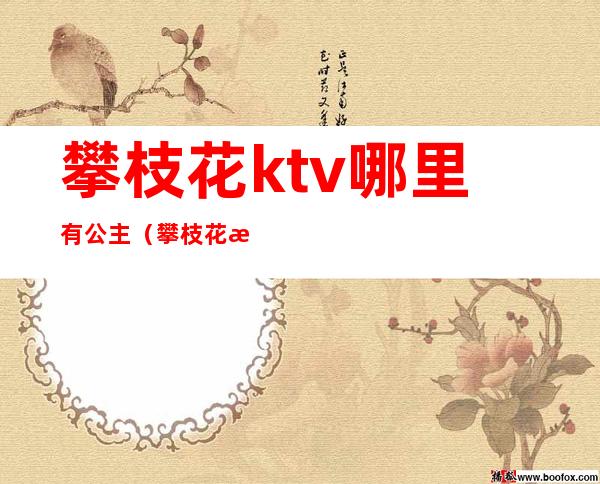 攀枝花ktv哪里有公主（攀枝花最好的ktv）