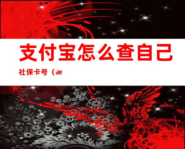 支付宝怎么查自己社保卡号（怎样用支付宝查社保卡号）