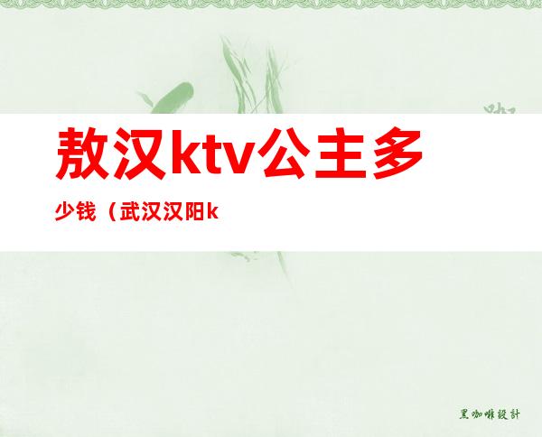 敖汉ktv公主多少钱（武汉汉阳ktv）