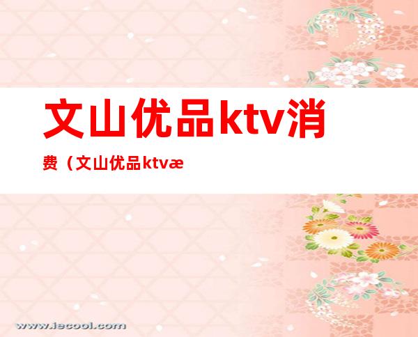 文山优品ktv消费（文山优品ktv消费多少）