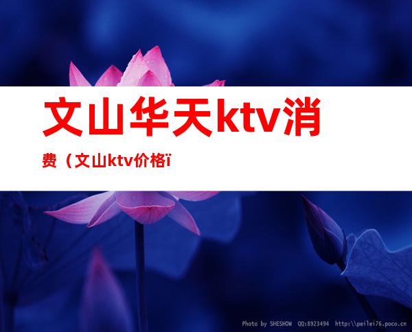 文山华天ktv消费（文山ktv价格）