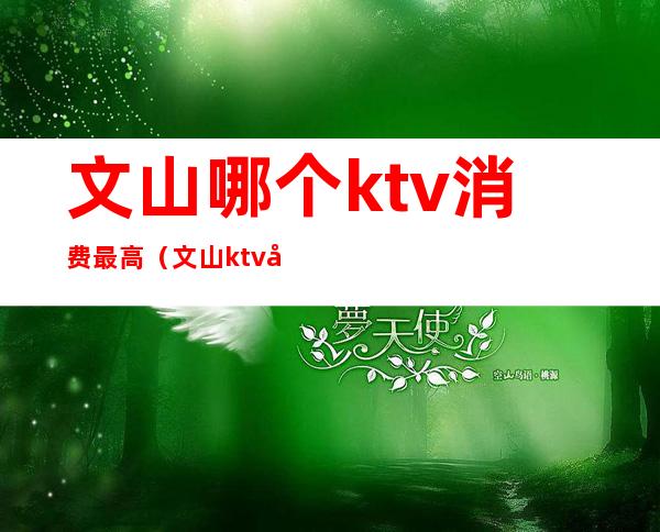 文山哪个ktv消费最高（文山ktv哪里最好）