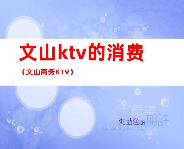 文山ktv的消费（文山商务KTV）