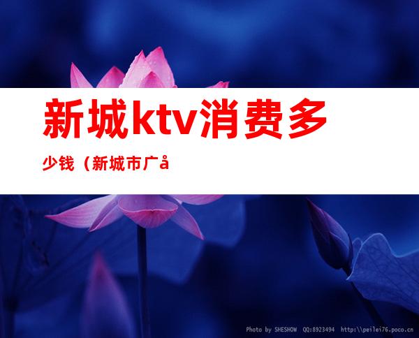 新城ktv消费多少钱（新城市广场KTV）