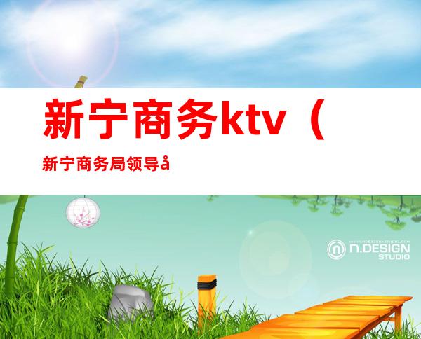 新宁商务ktv（新宁商务局领导分工）