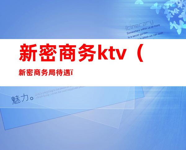 新密商务ktv（新密商务局待遇）