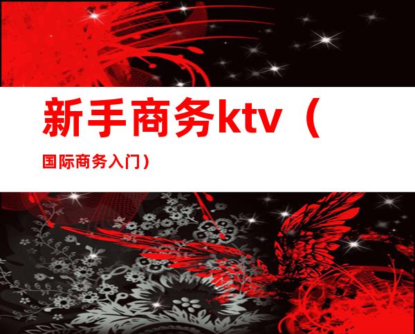 新手商务ktv（国际商务入门）