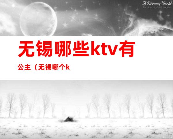 无锡哪些ktv有公主（无锡哪个ktv有公主）