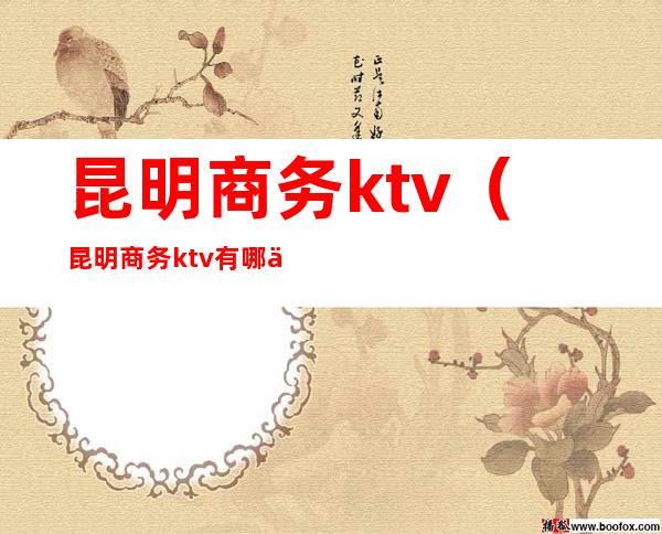 昆明商务ktv（昆明商务ktv有哪些知乎）