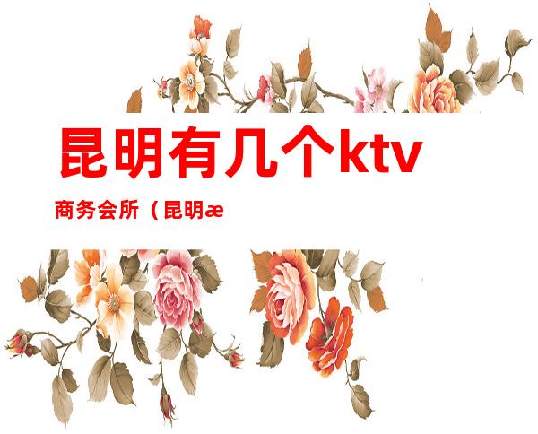 昆明有几个ktv商务会所（昆明最好的ktv会所）