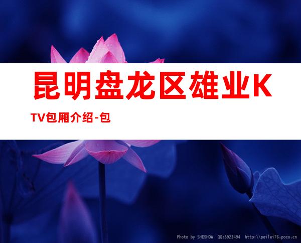 昆明盘龙区雄业KTV包厢介绍-包厢环境一览 – 昆明盘龙商务KTV