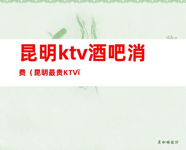 昆明ktv酒吧消费（昆明最贵KTV）