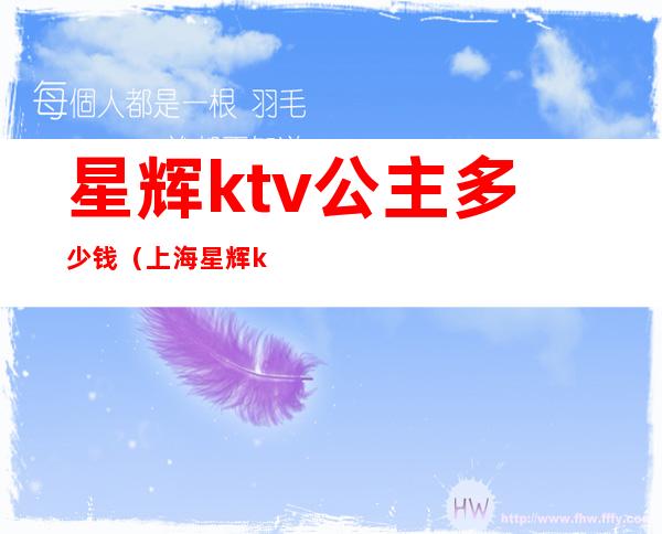 星辉ktv公主多少钱（上海星辉ktv公主多少钱）