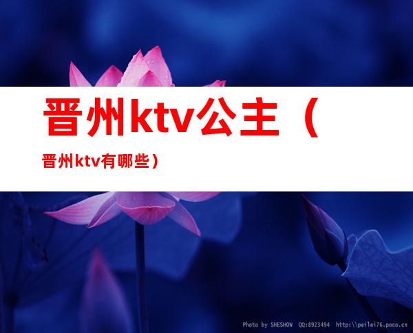 晋州ktv公主（晋州ktv有哪些）