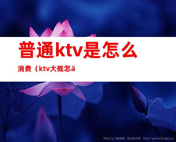 普通ktv是怎么消费（ktv大概怎么消费）