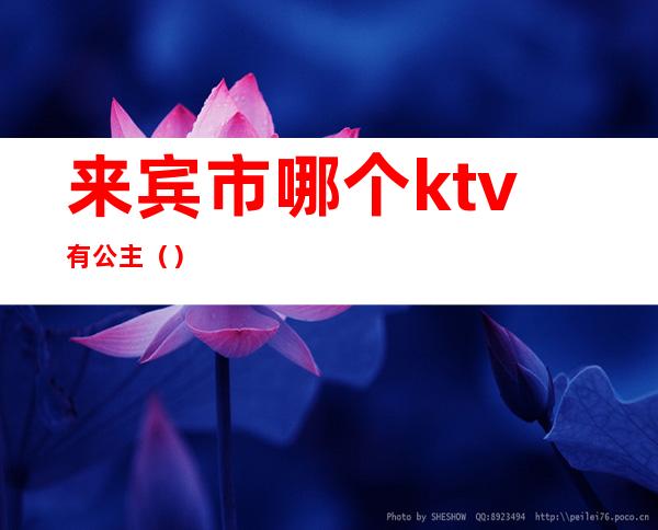 来宾市哪个ktv有公主（）