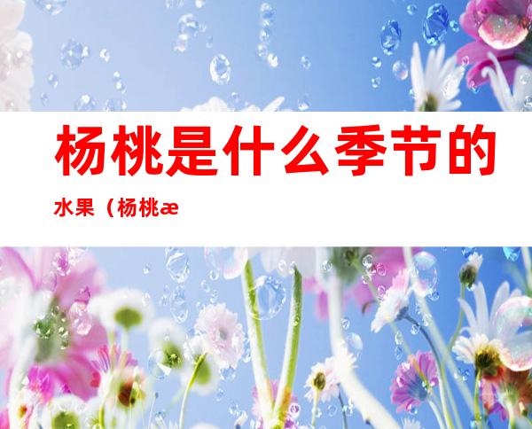 杨桃是什么季节的水果（杨桃是什么季节的水果图片）