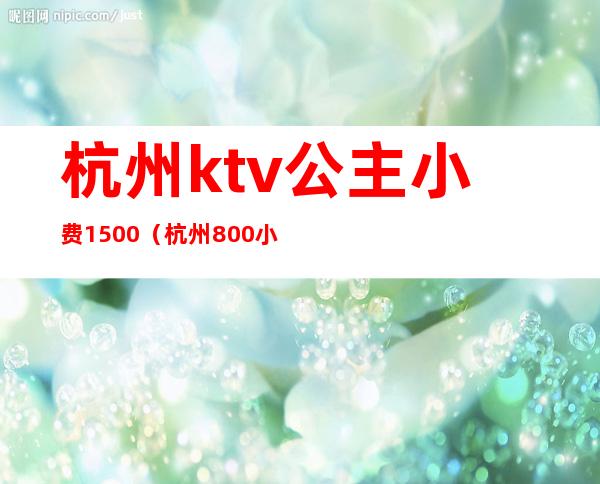 杭州ktv公主小费1500（杭州800小费的ktv都有哪些）