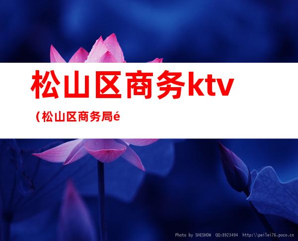 松山区商务ktv（松山区商务局长）