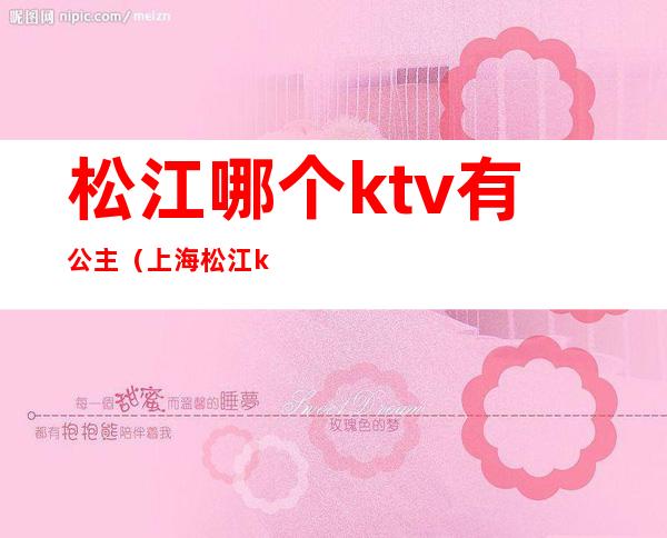 松江哪个ktv有公主（上海松江ktv消费如何）