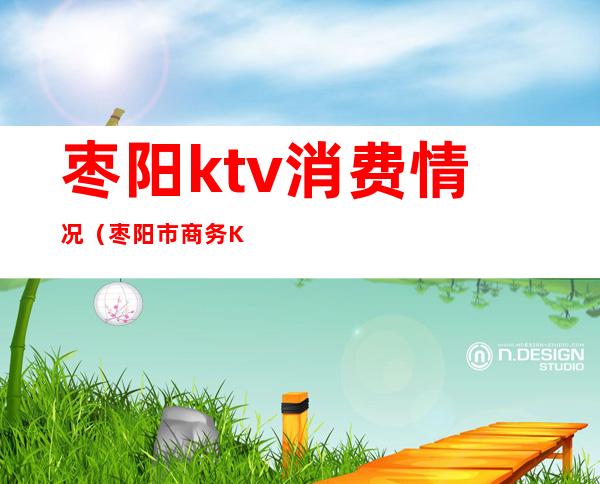 枣阳ktv消费情况（枣阳市商务KTV）