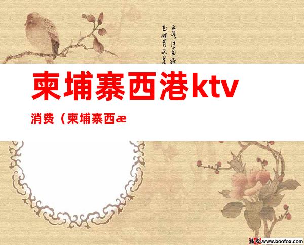 柬埔寨西港ktv消费（柬埔寨西港酒吧一条街）