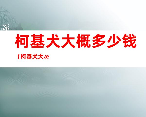 柯基犬大概多少钱（柯基犬大概多少钱一只）