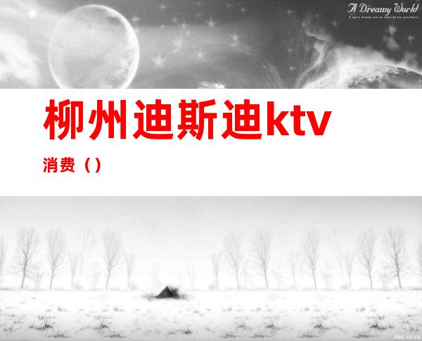 柳州迪斯迪ktv消费（）