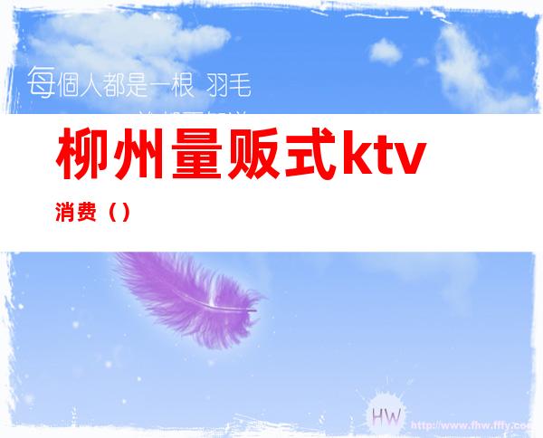 柳州量贩式ktv消费（）