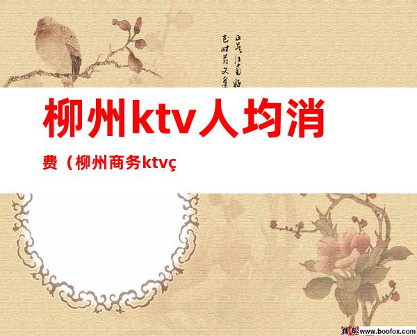 柳州ktv人均消费（柳州商务ktv的价格）