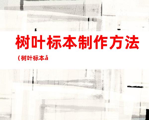 树叶标本制作方法（树叶标本制作方法图片大全视频）