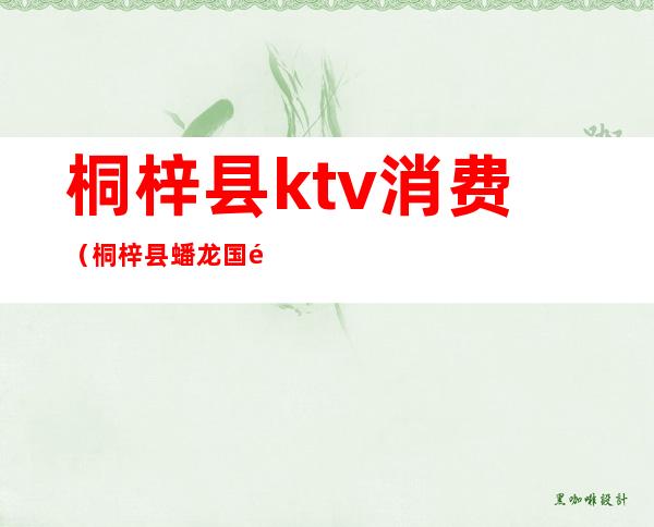 桐梓县ktv消费（桐梓县蟠龙国际ktv消费）