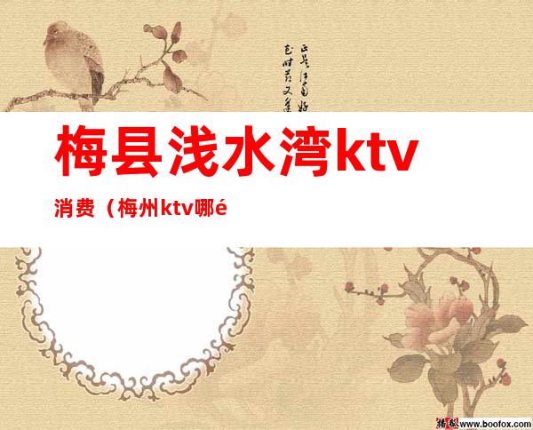 梅县浅水湾ktv消费（梅州ktv哪里比较好）