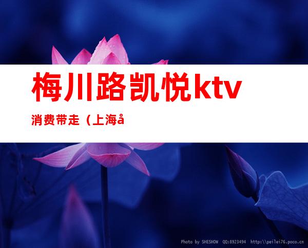 梅川路凯悦ktv消费带走（上海凯悦ktv）