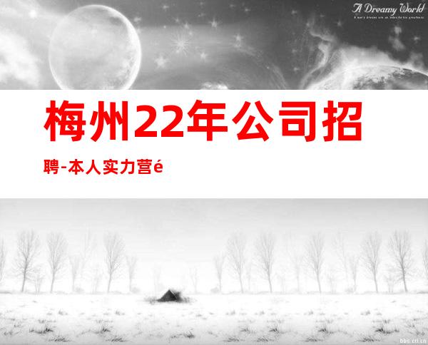 梅州22年公司招聘-本人实力营销招聘