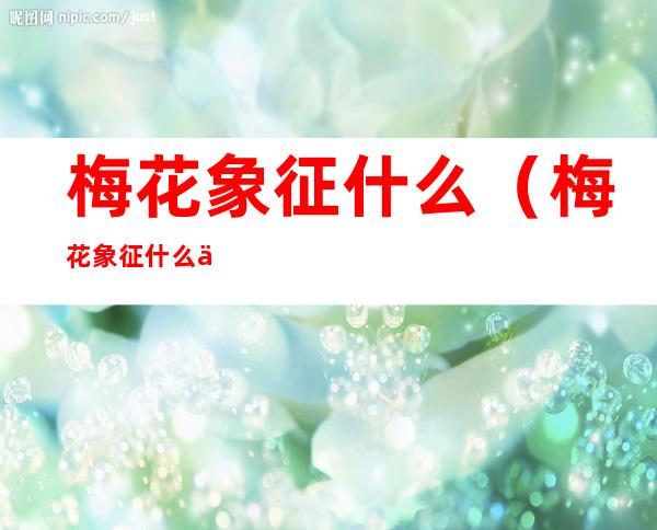 梅花象征什么（梅花象征什么人）