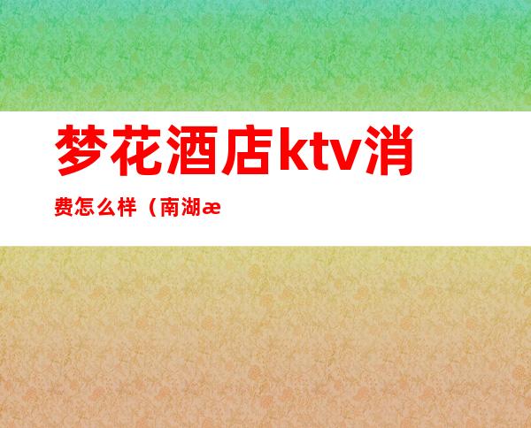 梦花酒店ktv消费怎么样（南湖梦ktv一般消费）