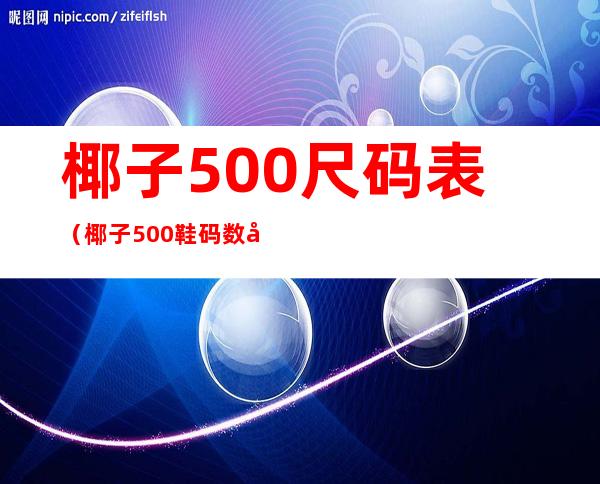 椰子500尺码表（椰子500鞋码数对照表图）