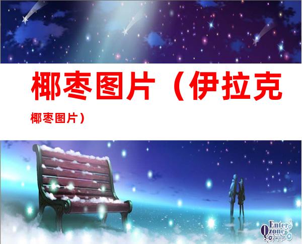 椰枣图片（伊拉克椰枣图片）